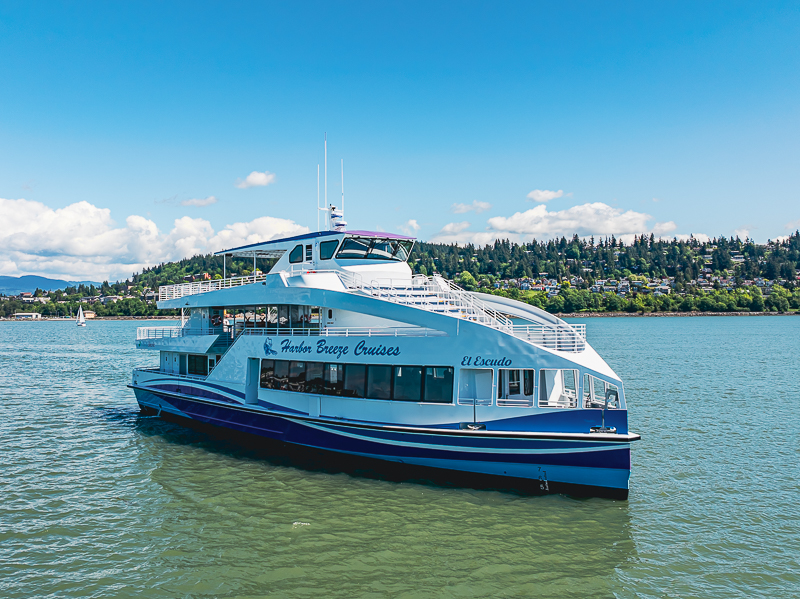 default Two-deck passenger cruise boat, white and blue, on calm harbor with a green shoreline and blue sky.
