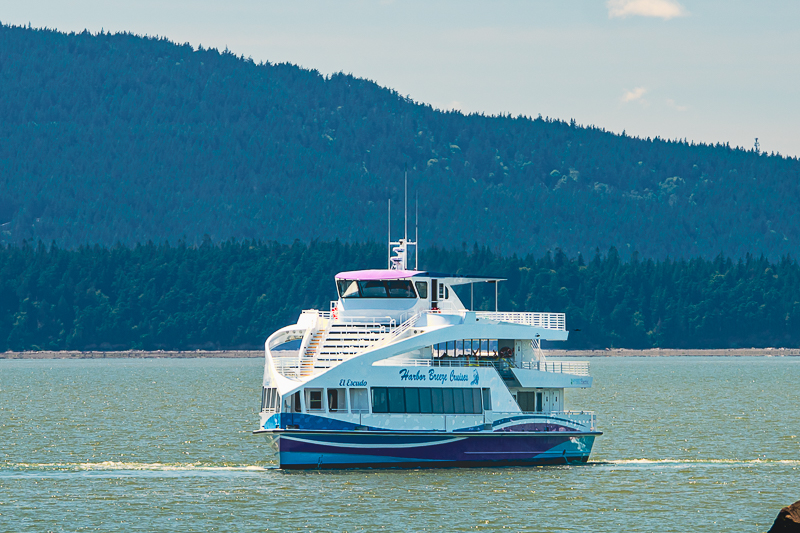 White and blue passenger cruise boat sailing on calm water with forested hills in the background.