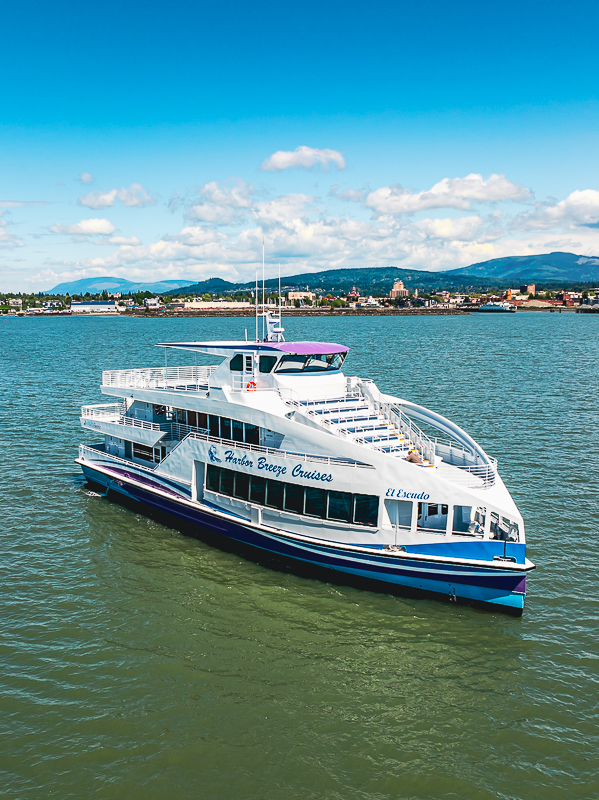 default White and blue passenger cruise boat on calm harbor water with a coastal town and green hills in the background under a bright blue sky.