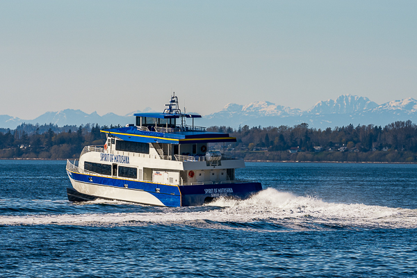 Glacier & Wildlife Vessel | Aluminum Boats | Catamarans | Monohulls | Passenger Vessels | Hybrid Vessels | Work Boats | All American Marine